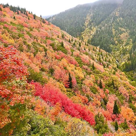 Cottonwood Heights - Lower Level Of Mountain Home! 외부 사진