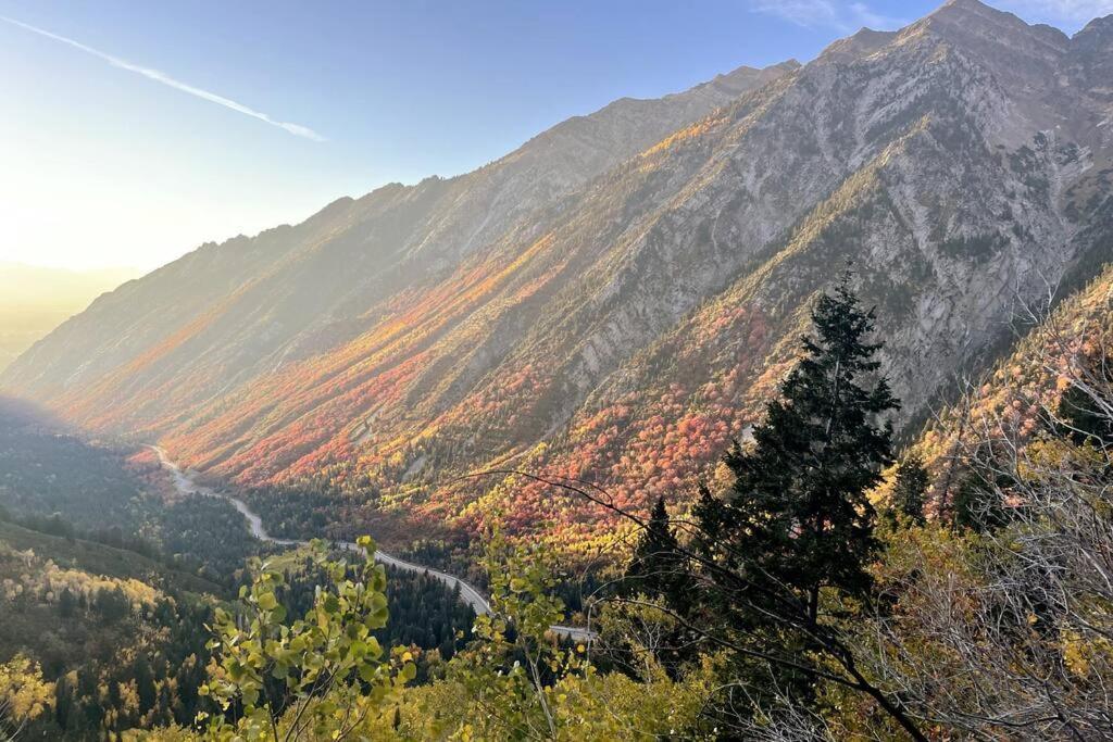Cottonwood Heights - Lower Level Of Mountain Home! 외부 사진