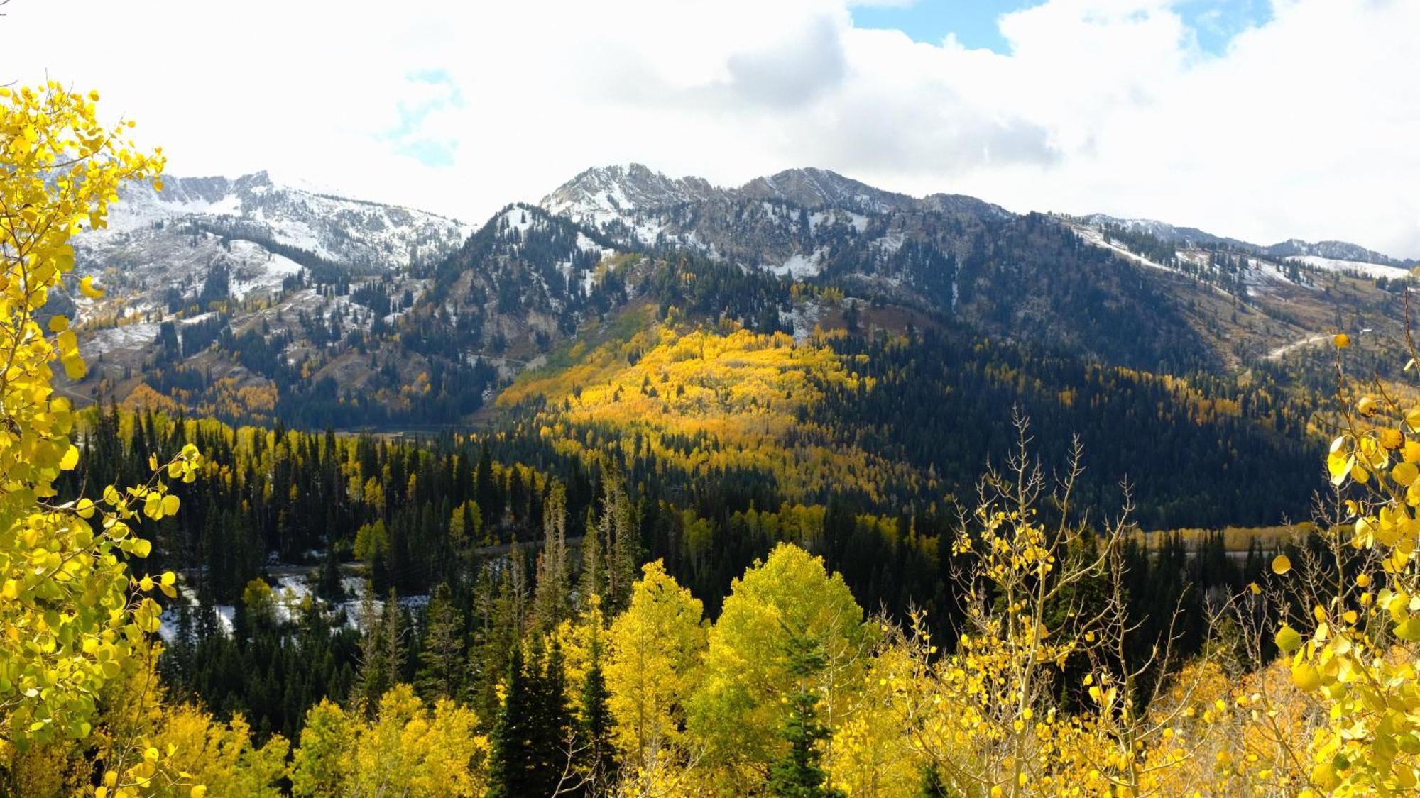 Cottonwood Heights - Lower Level Of Mountain Home! 외부 사진